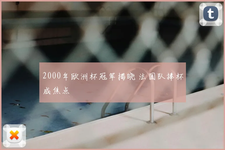 2000年欧洲杯冠军揭晓 法国队捧杯成焦点