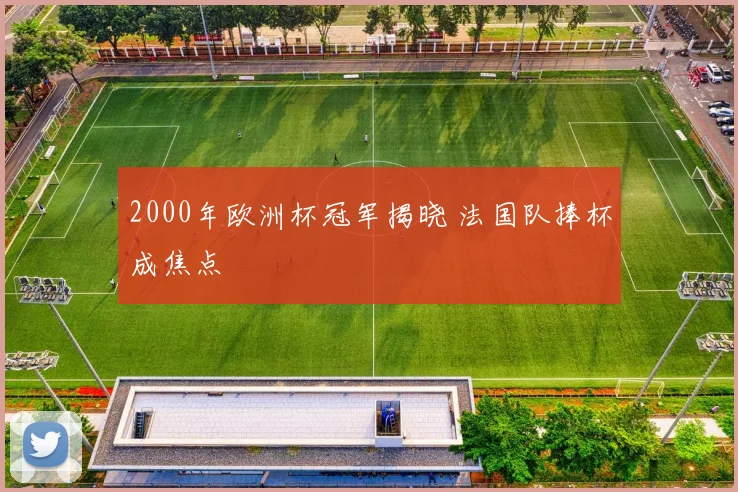 2000年欧洲杯冠军揭晓 法国队捧杯成焦点