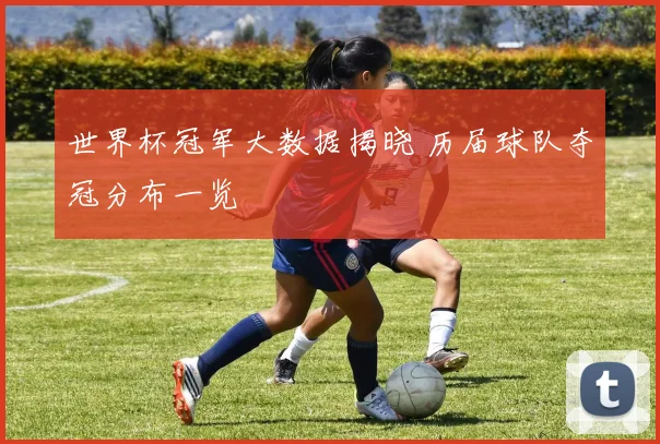 世界杯冠军大数据揭晓 历届球队夺冠分布一览